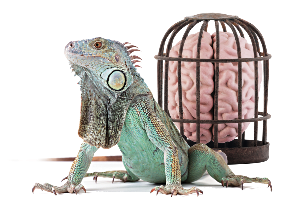 How to your Lizard Brain for a Happier, More Successful You