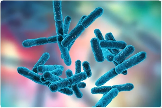 How Probiotics Can Boost Your Health