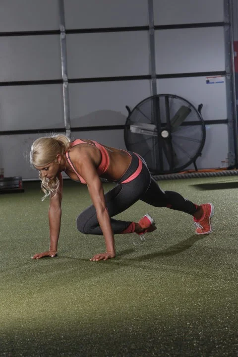 Mountain climber exercise