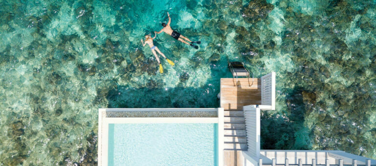 Holistic Approach To Holidays