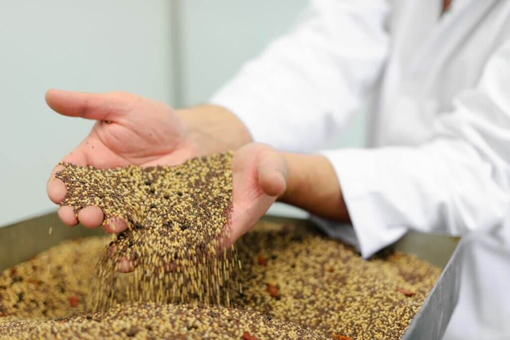 Pile of mustard seeds