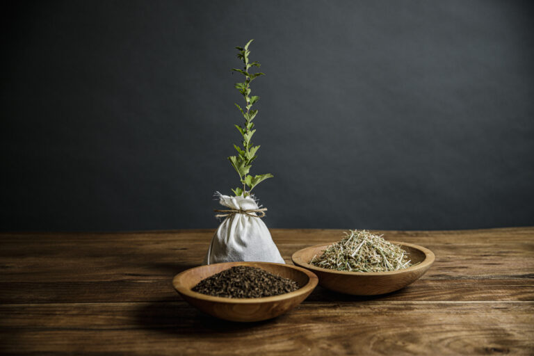 Growing plant from soil