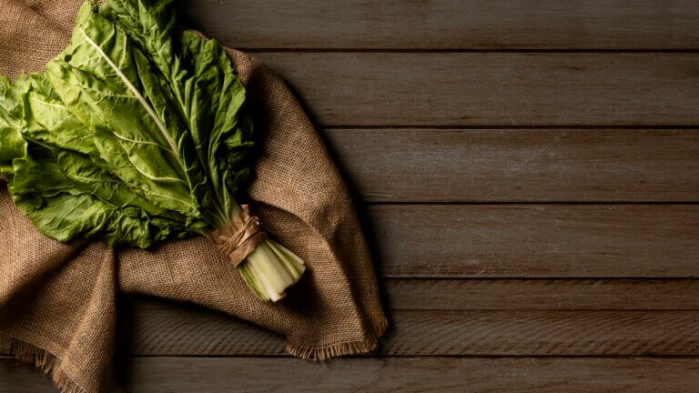 10-minute Vegan Kale Salad