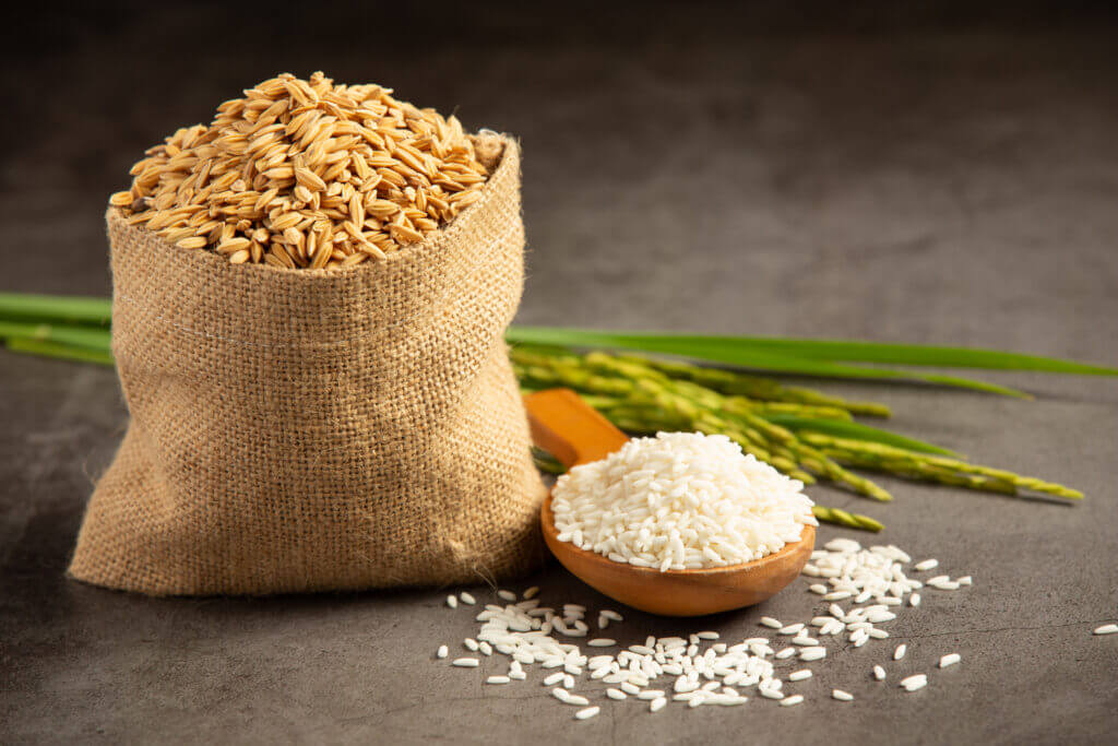 a sack of plant-based protein