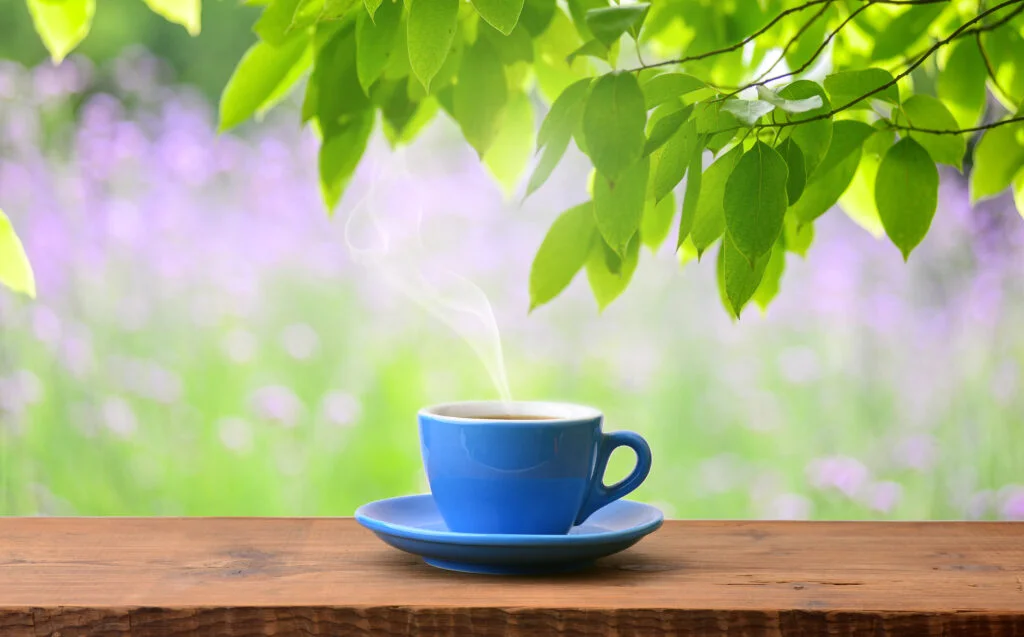 Green Tea VS Black Tea