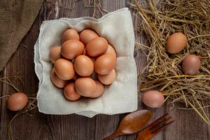 Protein rich eggs