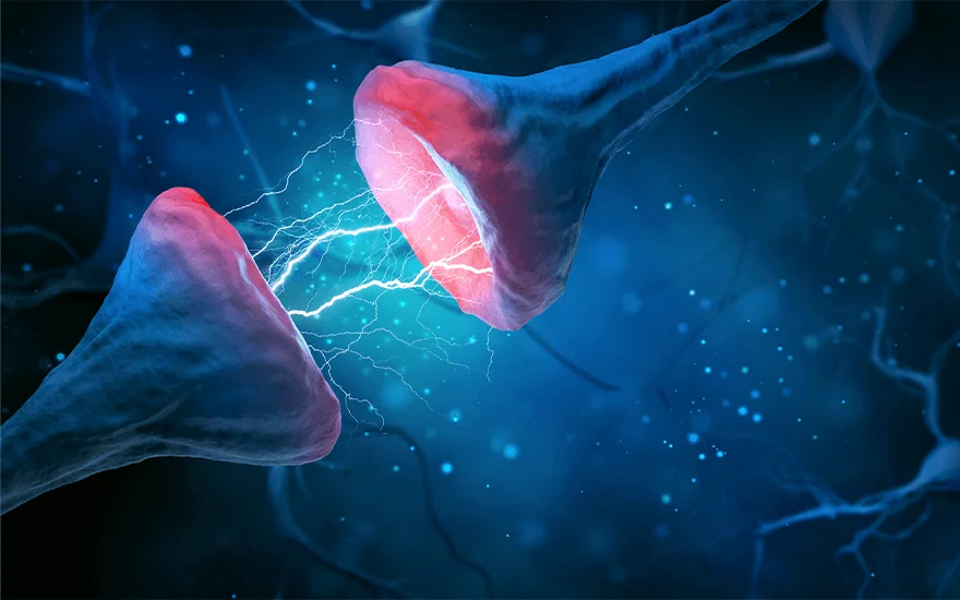 dysregulated nervous system