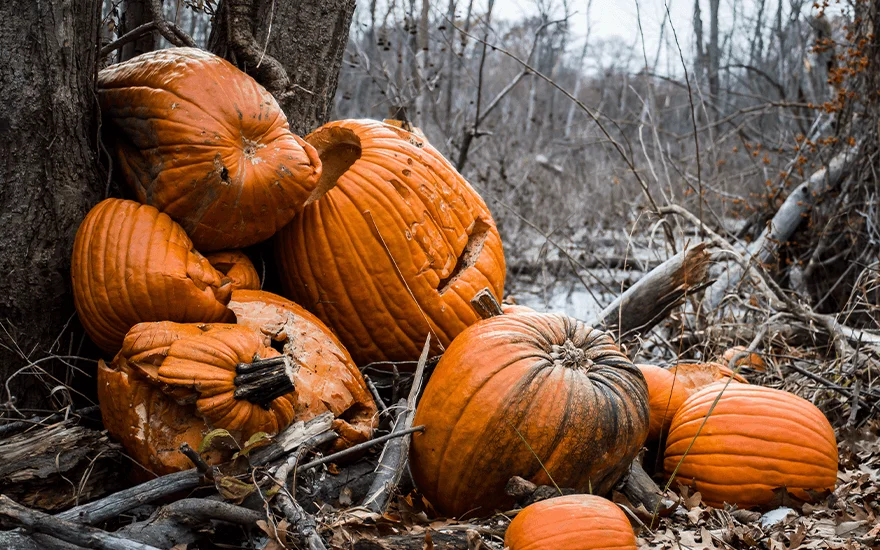 Eat Your Pumpkin campaign