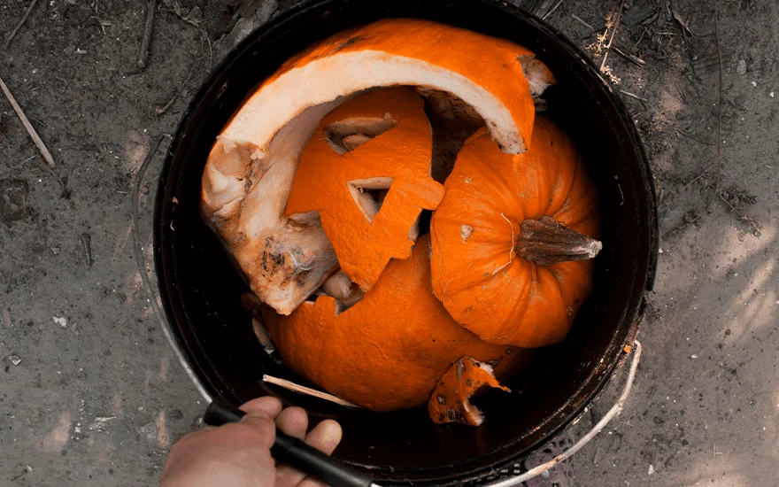 Eat Your Pumpkin campaign