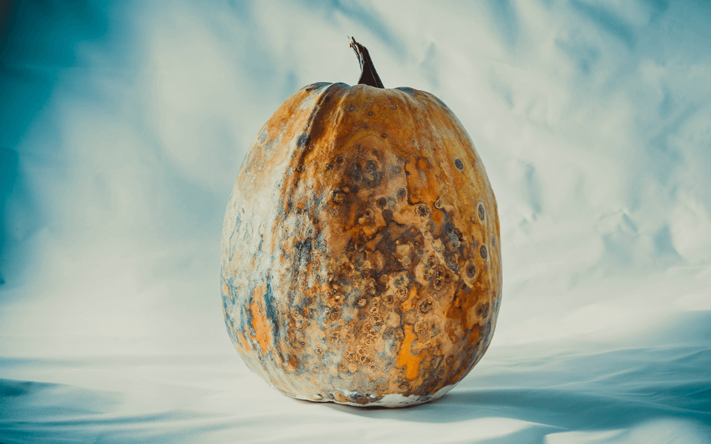 The True Horror Story of Halloween