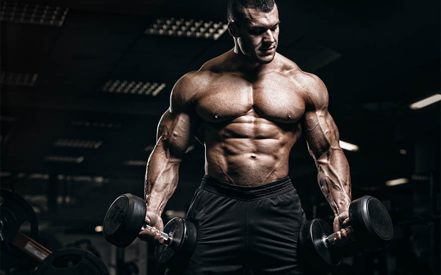 Advantage 1: Muscle growth