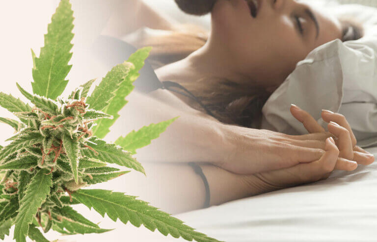 Transforming Orgasms With Psychedelics