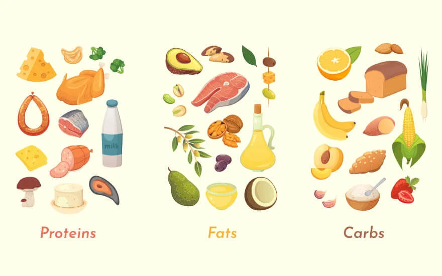 What are macronutrients?