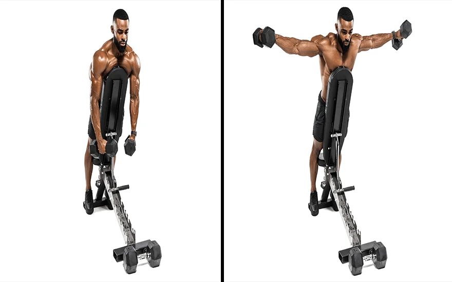 Superset with Reverse Dumbbell Flyes