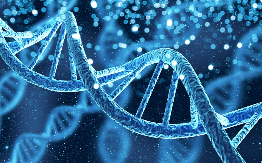 Theories on human lifespan