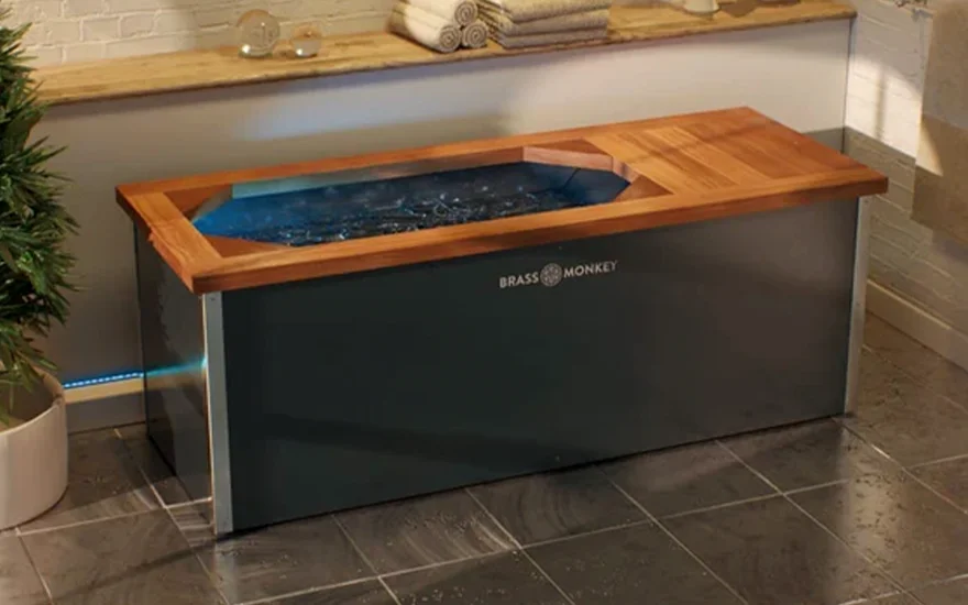 Brassmonkey Plunge Pool