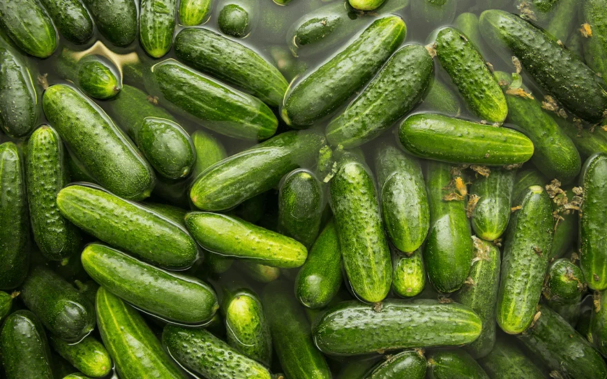 chamoy pickle kit challenge