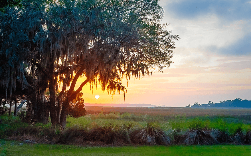 Hilton Head Health – Hilton Head Island