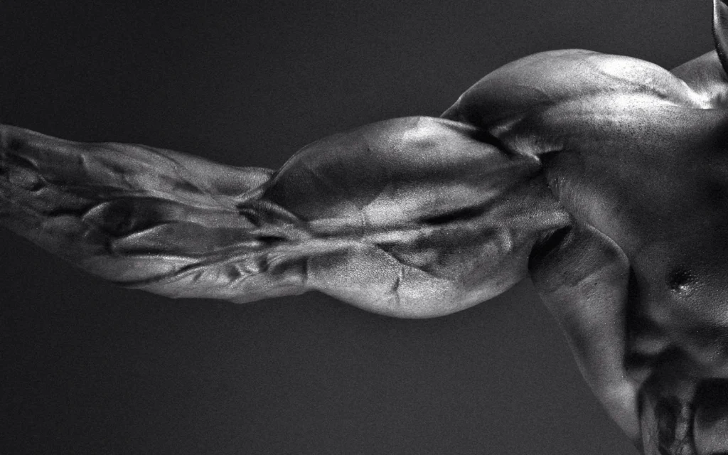 Arnold Schwarzenegger's muscular arm