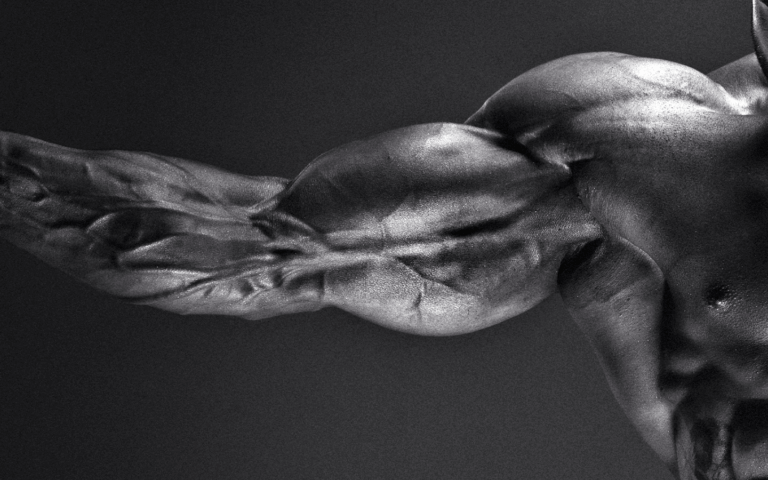 Arnold Schwarzenegger's muscular arm