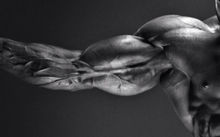 Arnold Schwarzenegger's muscular arm