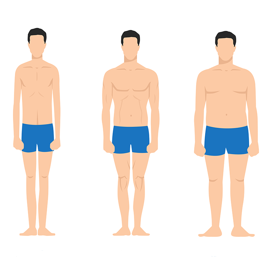 The Three Body Types - Ectomorph, Mesomorph and Endomorph