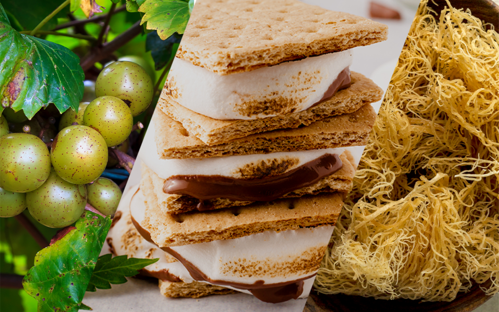 Sea moss and anti aging gummies health trends